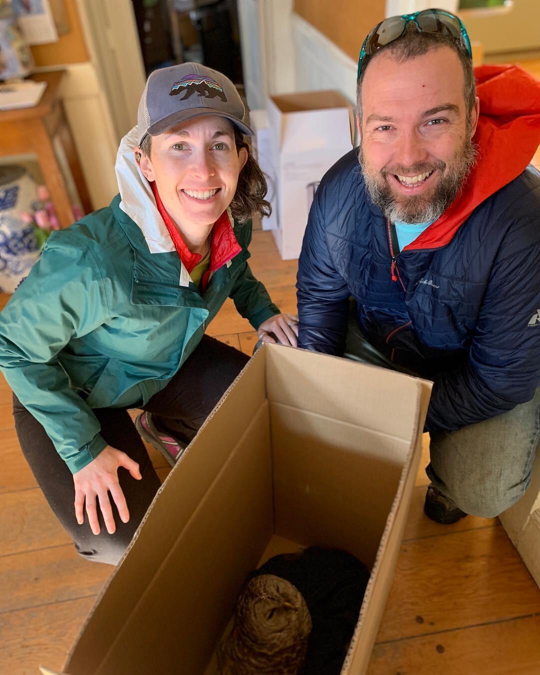 Two people crouch around a cardboard box that contains a disoriented looking Barred Owl. The people are smiling and looking at the viewer.