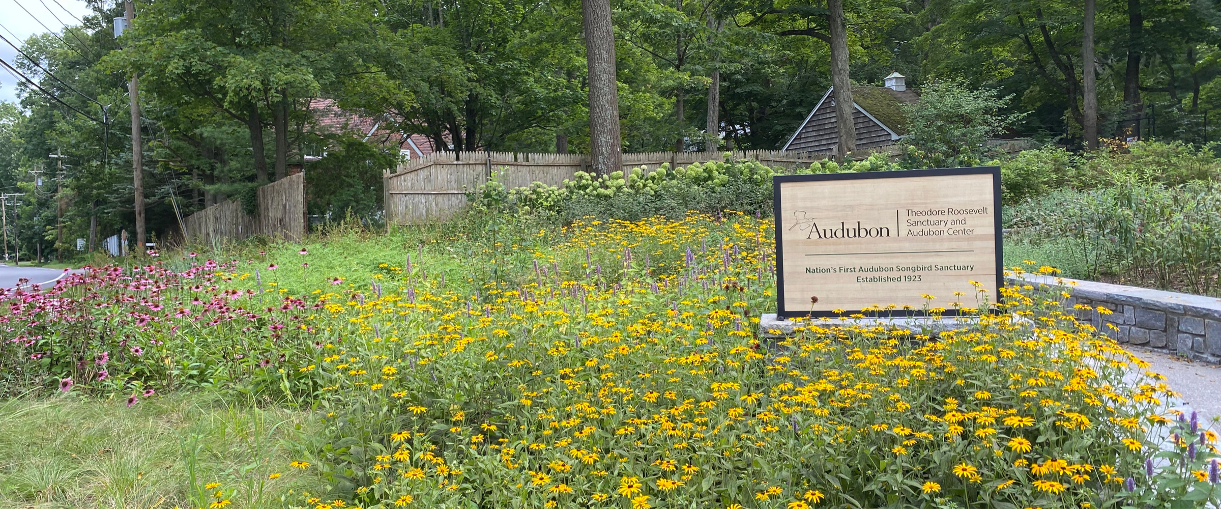 A garden composed of flowers of many colors with a paved path cutting through it. There is a sign that reads: Audubon Theodore Roosevelt Sanctuary and Audubon Center. Nation's first songbird sanctuary, established 1923.